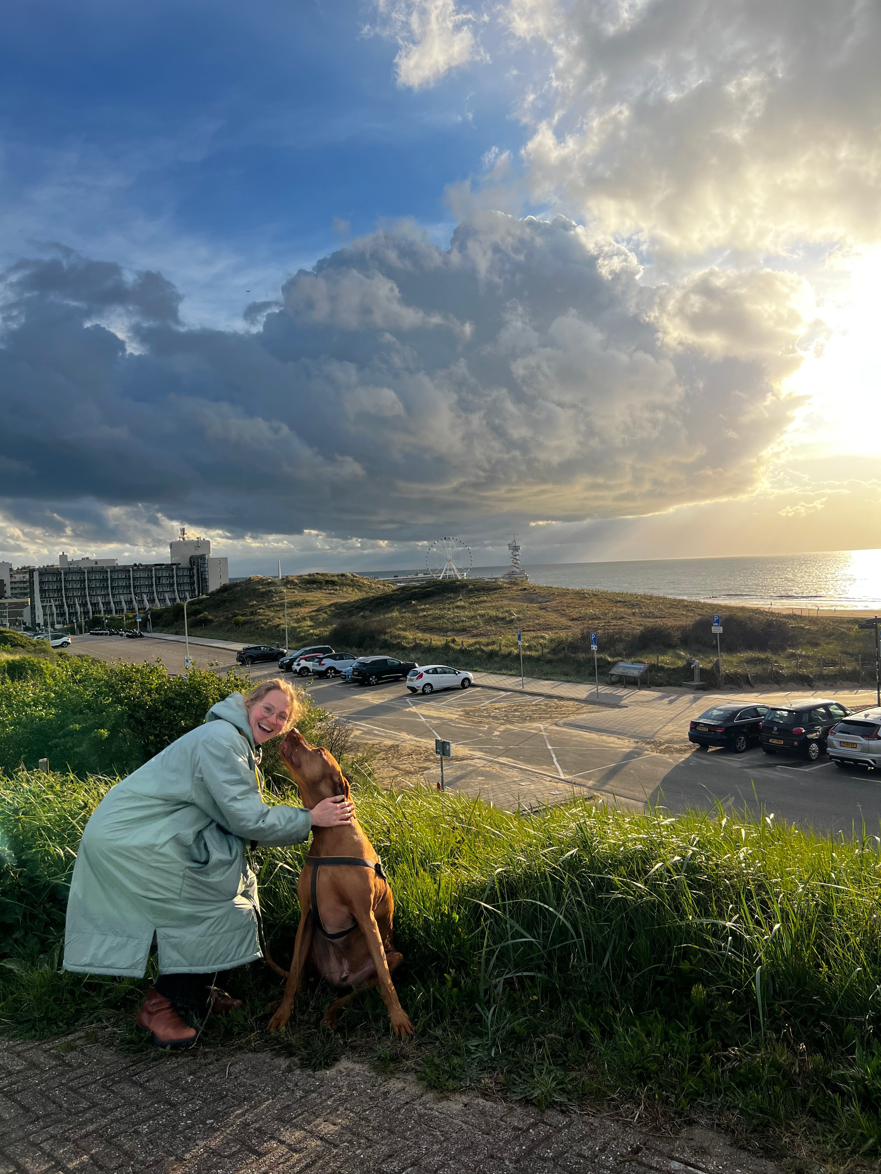 Honden & Koffie